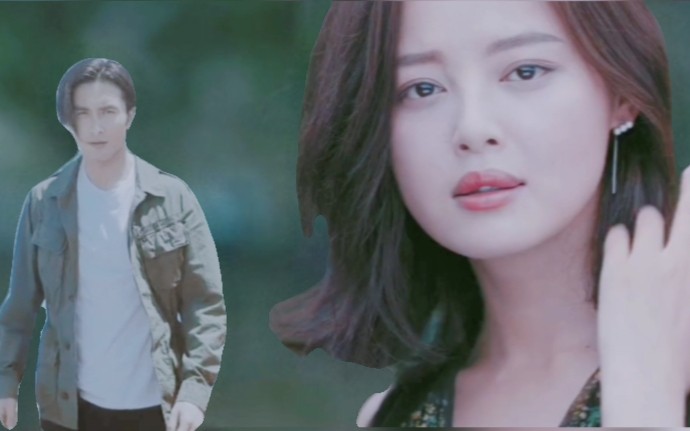 【红烧cp|高伟光x辛芷蕾|三生三世梗】遇萤|愿与你永不分离