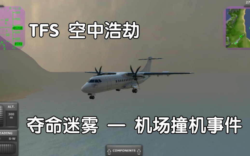 [图]【TFS 空中浩劫】夺命迷雾 —— 机场撞机事件