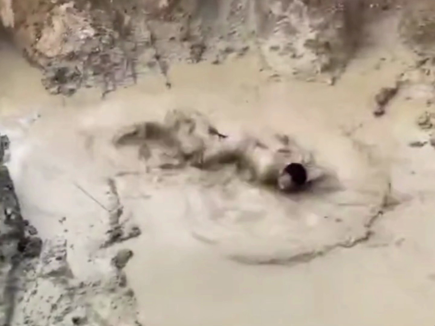 每个人都有自己要滚的泥潭