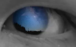 眼里是星辰大海
