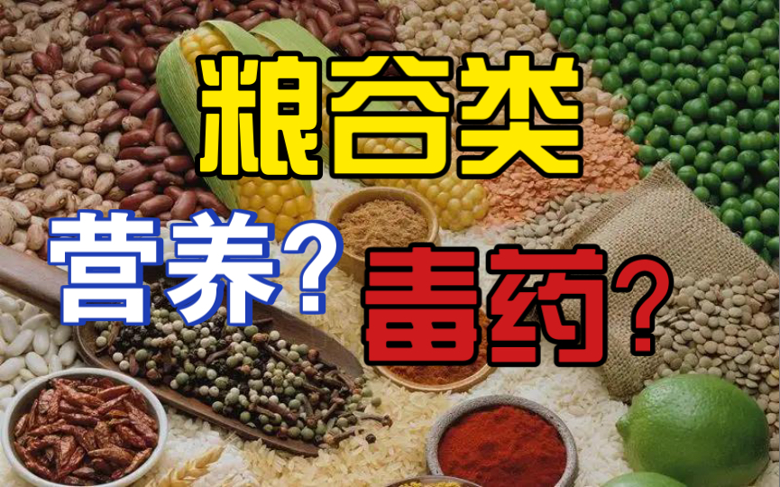 食物的营养价值:粮谷类哔哩哔哩bilibili