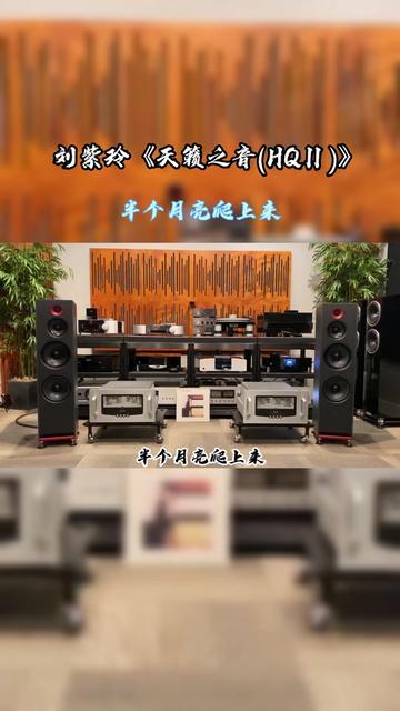 [图]#发烧hifi #车载u盘 #刘紫玲 #刘紫玲天籁之音 #hifi音乐