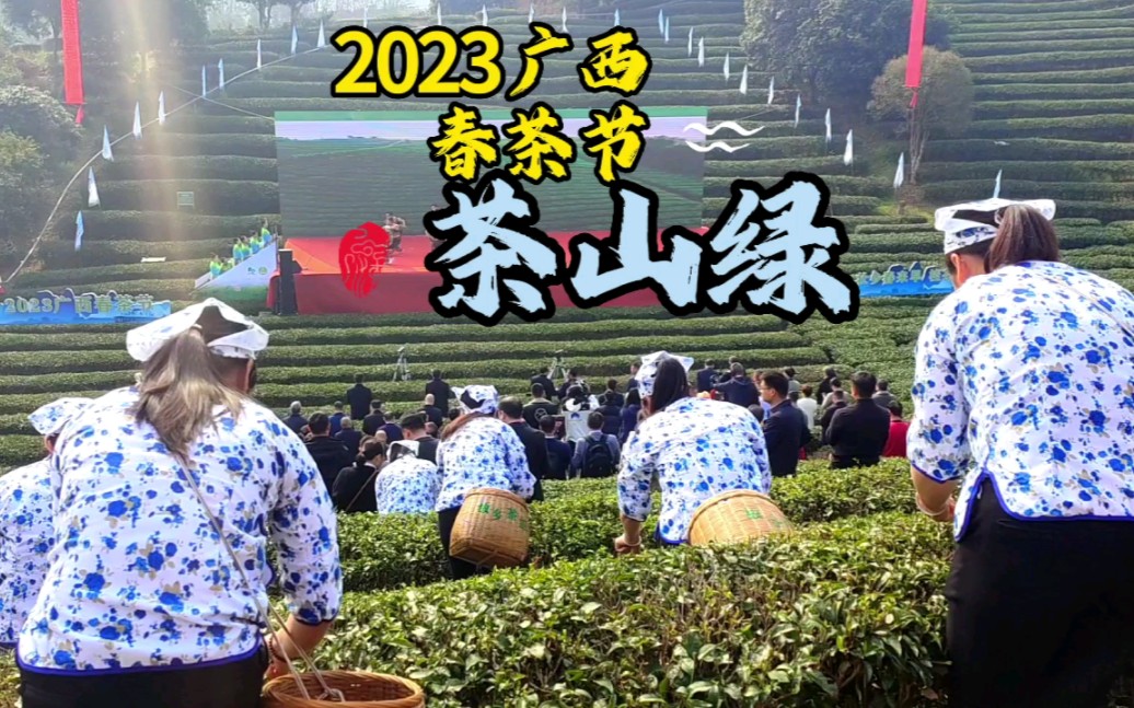 2023广西春茶节,现场及歌舞《茶山绿》,广西昭平好山好水出好茶#昭平#有机茶#春茶#广西#秀出家乡美#春茶采摘#茶是春天的仪式感#召唤茶友#宣传家...