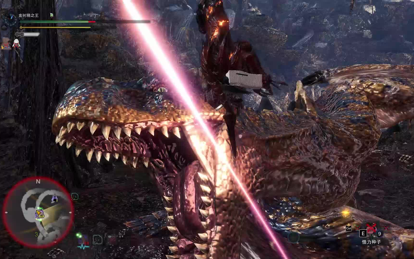 怪物猎人冰原长枪日常狩猎历战轰龙,黑轰龙和角龙