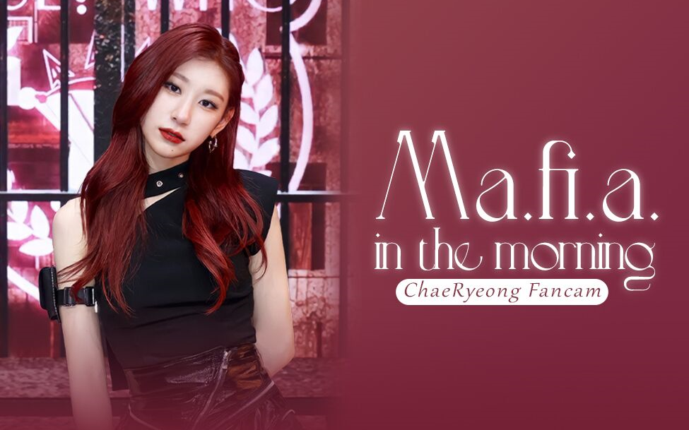 mafia in the morning彩领官方直拍合集-gagaga阿--默认收藏夹-哔哩