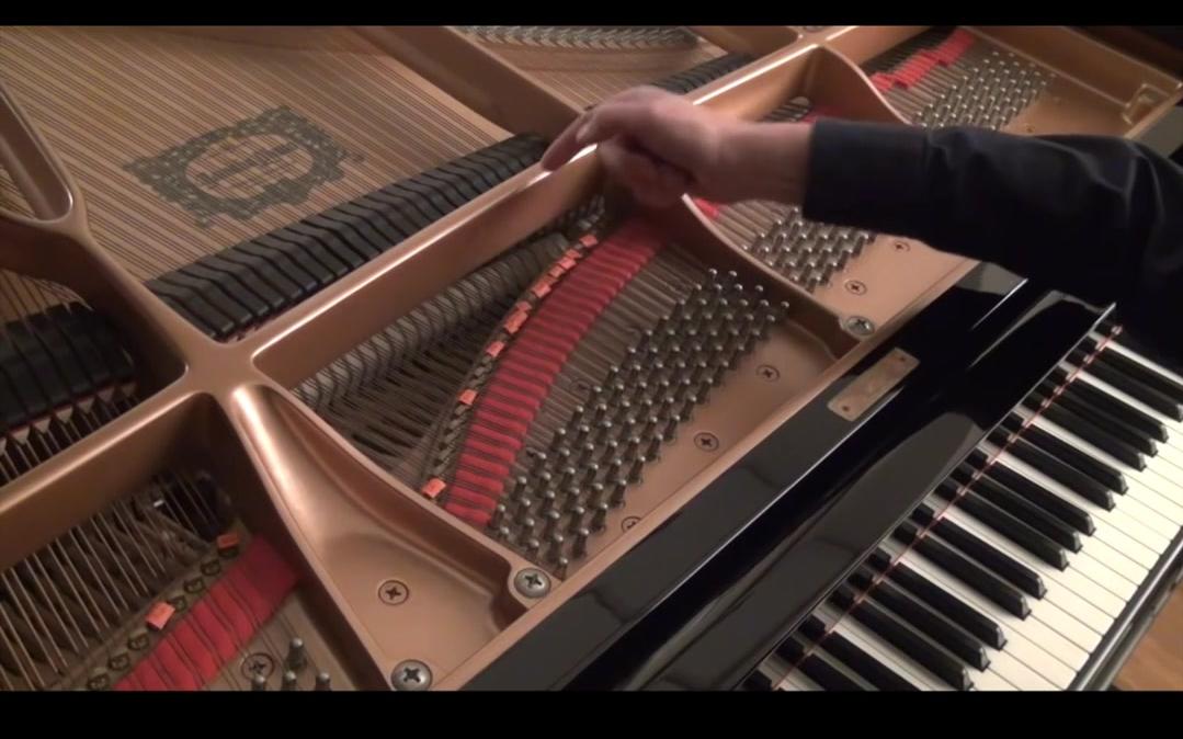 考埃尔cowell风过竖琴aeolianharpforstringpiano