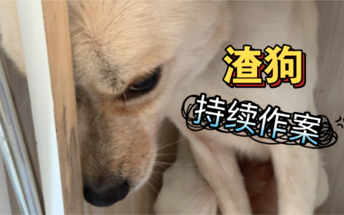 这特么,我特么…哔哩哔哩bilibili