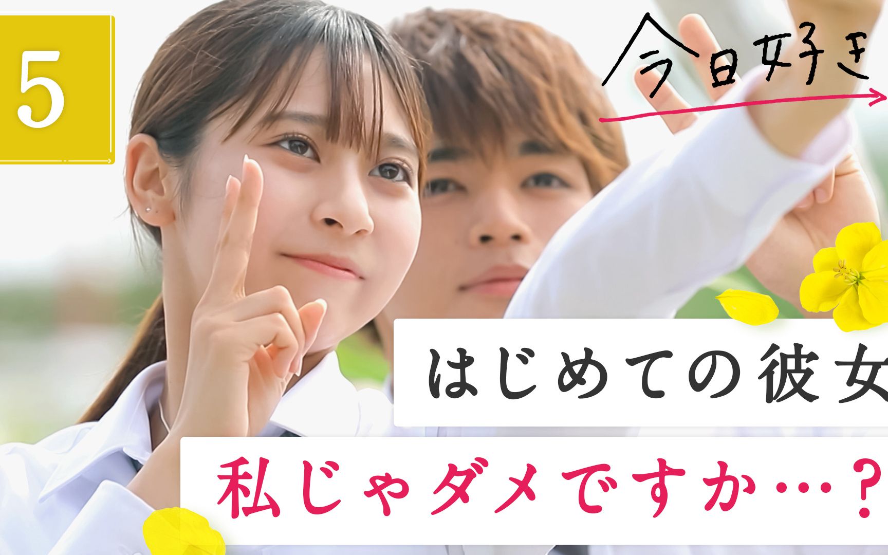 【中字/日本恋综】今天,喜欢上你了.