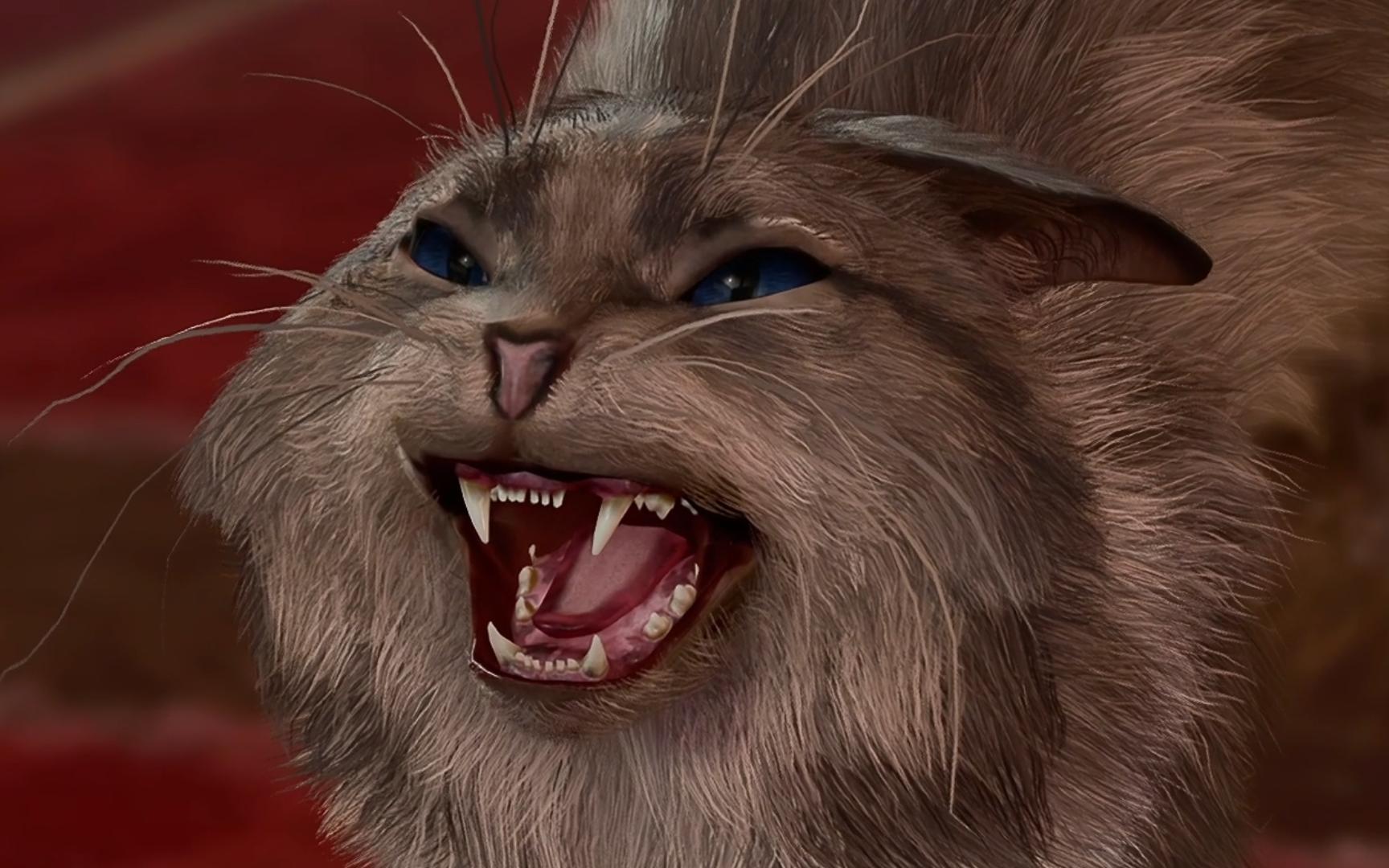 【博德之门3】什么女王猫?