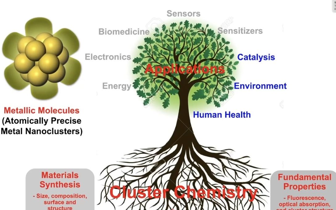 20230714新加坡国立大学谢建平Engineering metal nanoclusters for biomedical applications哔哩哔哩bilibili