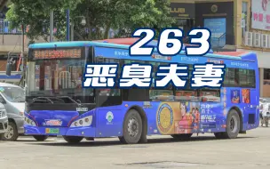 Download Video: 【广州公交】263 路 盈丰路总站 → 广州火车东站总站 全程恶臭夫妻报站存档