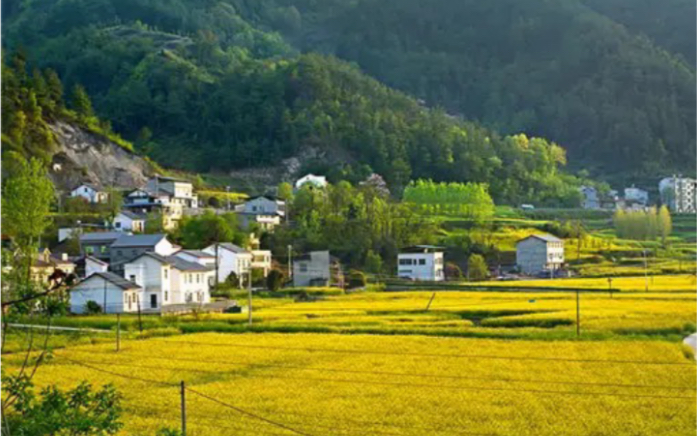 [图]电报道长（原版及消音版），道长云游回来被偷家，气得破口大骂