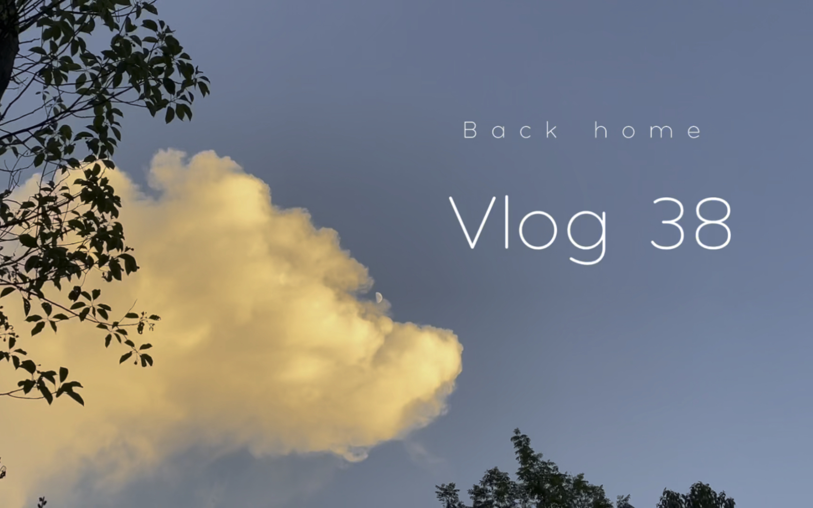 vlog 38 days back home