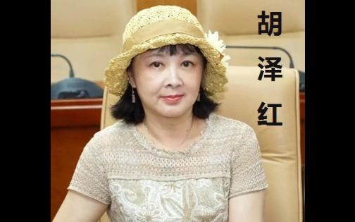 【混剪】金陵十二钗·惜春胡泽红