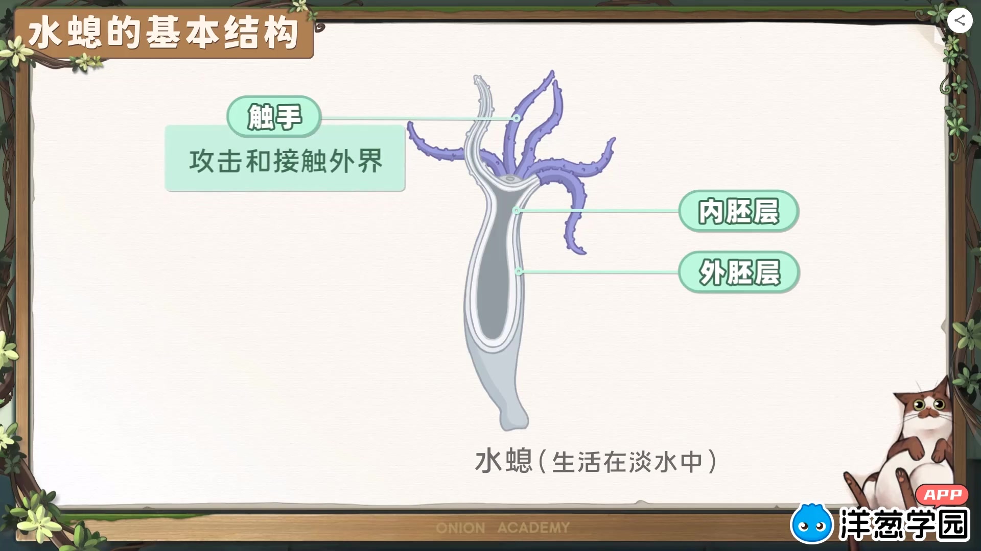 [图]【200集】少儿科普启蒙生物百科全书，认识动物种类