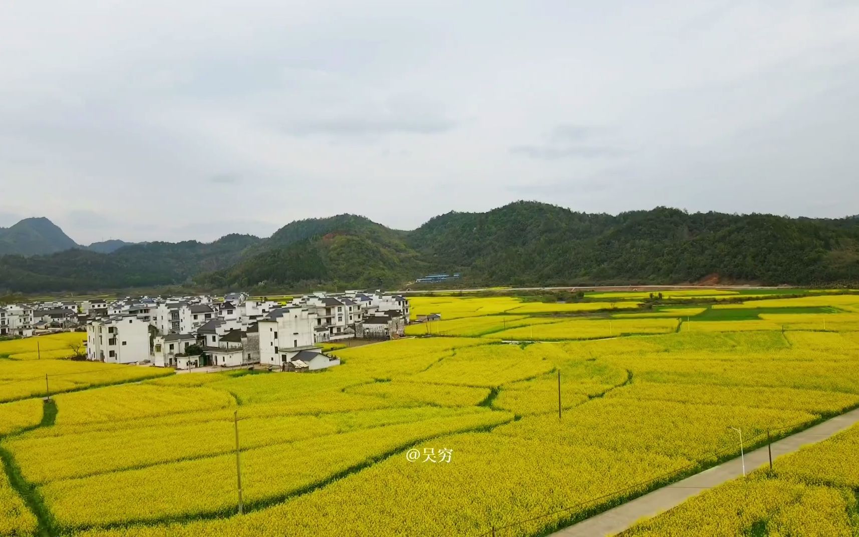 [图]想一百个有关春天的文案，都不如这片油菜花来的直白。因为油菜花的花语是：你想要的以后都会有。