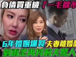 Descargar video: 刘雨柔6年假面婚姻破裂！！在抖前夫离婚惊人猛料？！