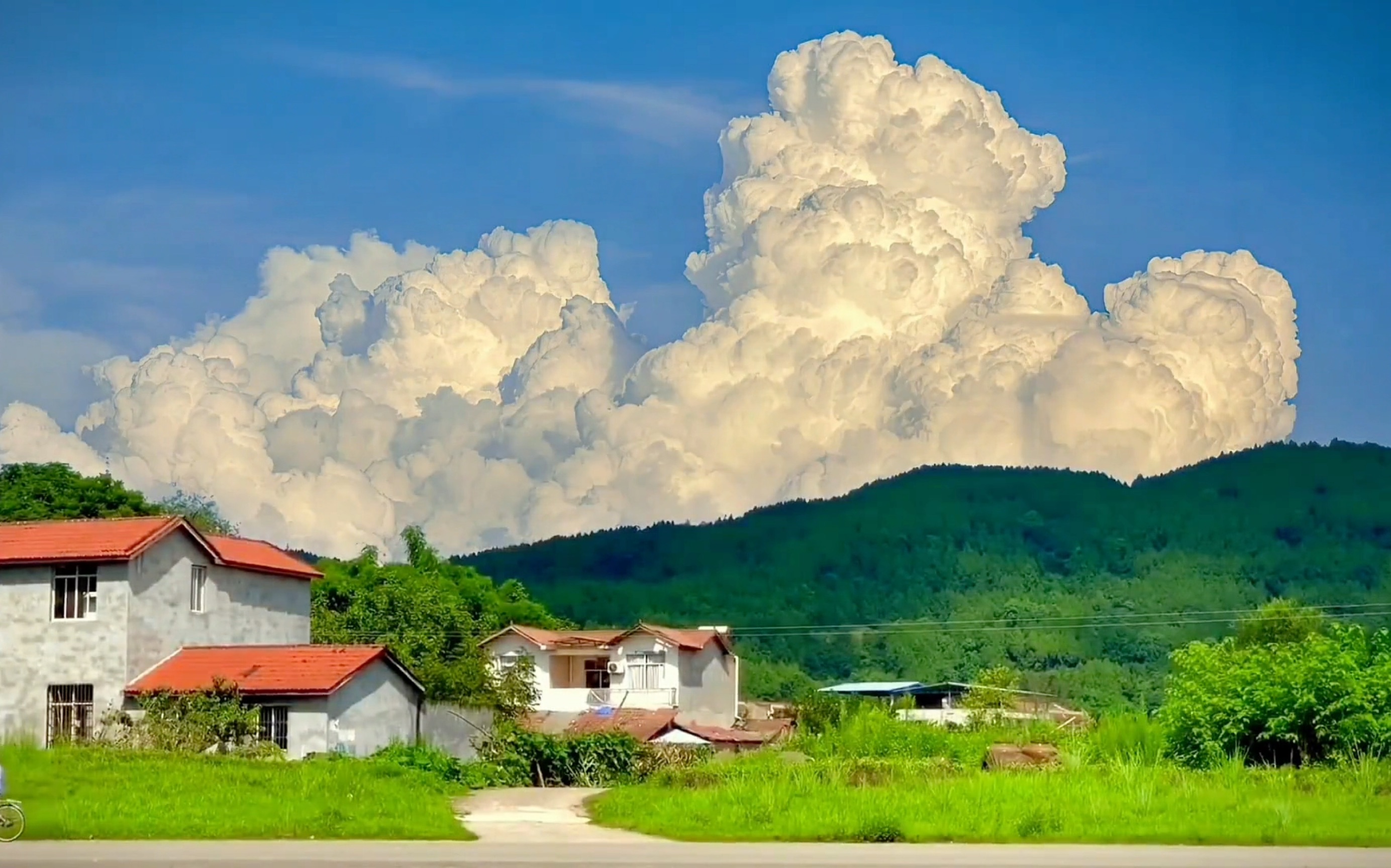 [图]“好像我们总是在冬天期待夏天，又在夏天怀念冬天～”