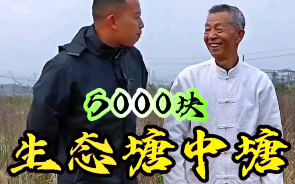 5000的生态塘中塘,没想到结果竟是这样?哔哩哔哩bilibili