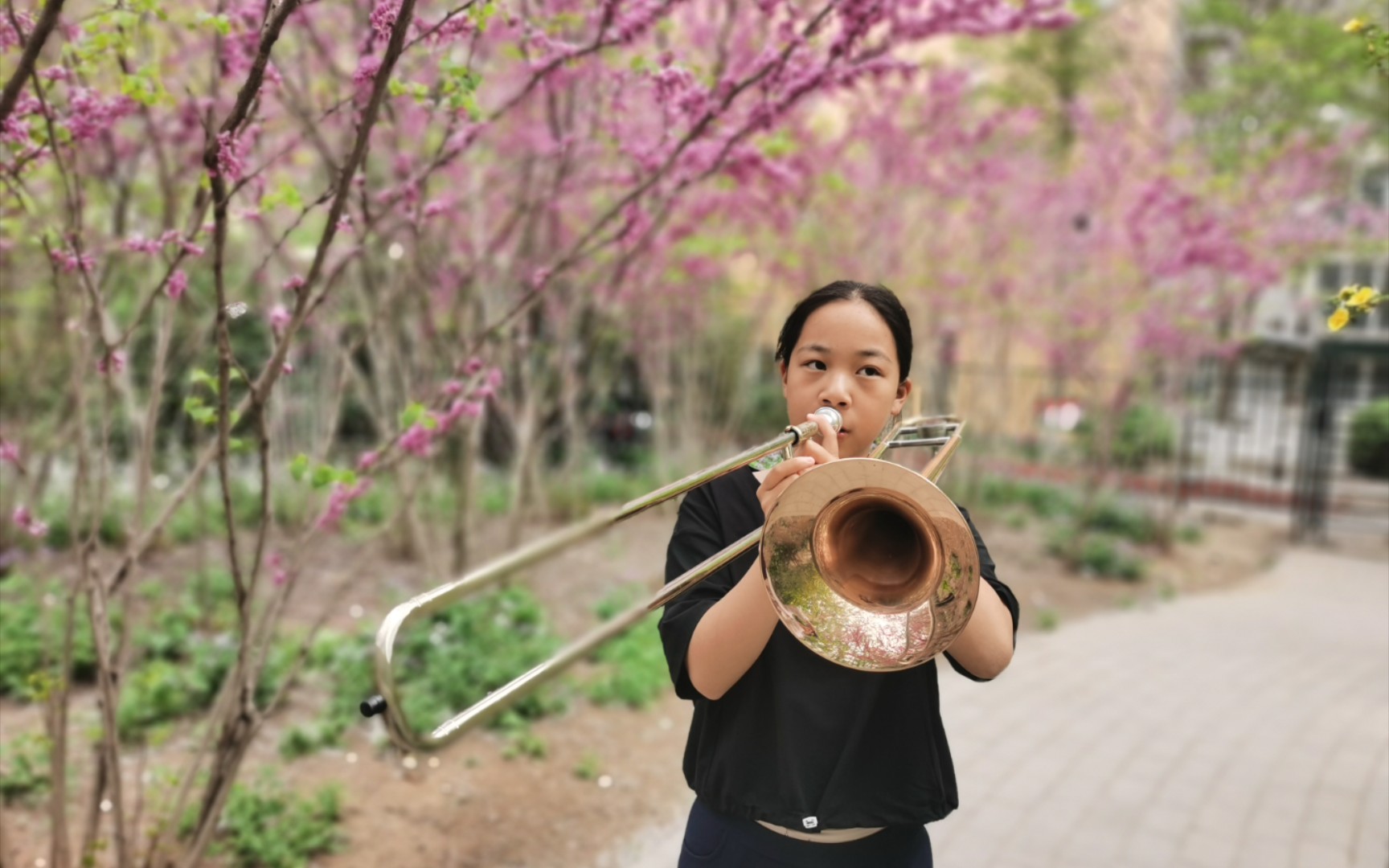 [图]练习长号的女孩，紫荆花前