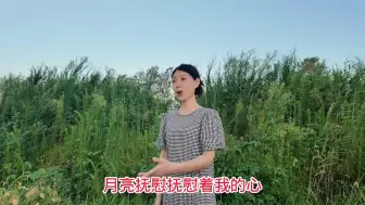 下载视频: 一首《望月》永恒的经典，宛转悠扬的歌声