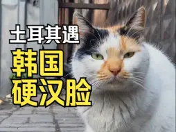 Video herunterladen: 像不像韩国最猛的那位大叔