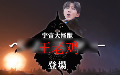 王老鸡我美么蔡徐坤鸡你太美