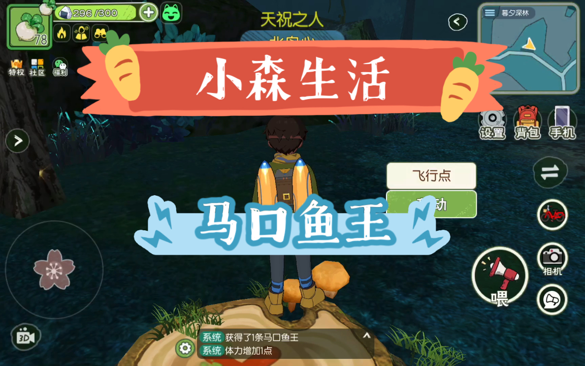 《小森生活》 马口鱼王 钓来送冬马啊!