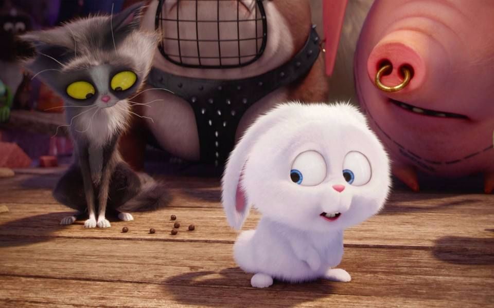 爱宠大机密皮克斯爸爸又放大招看过气网红们如何逆袭