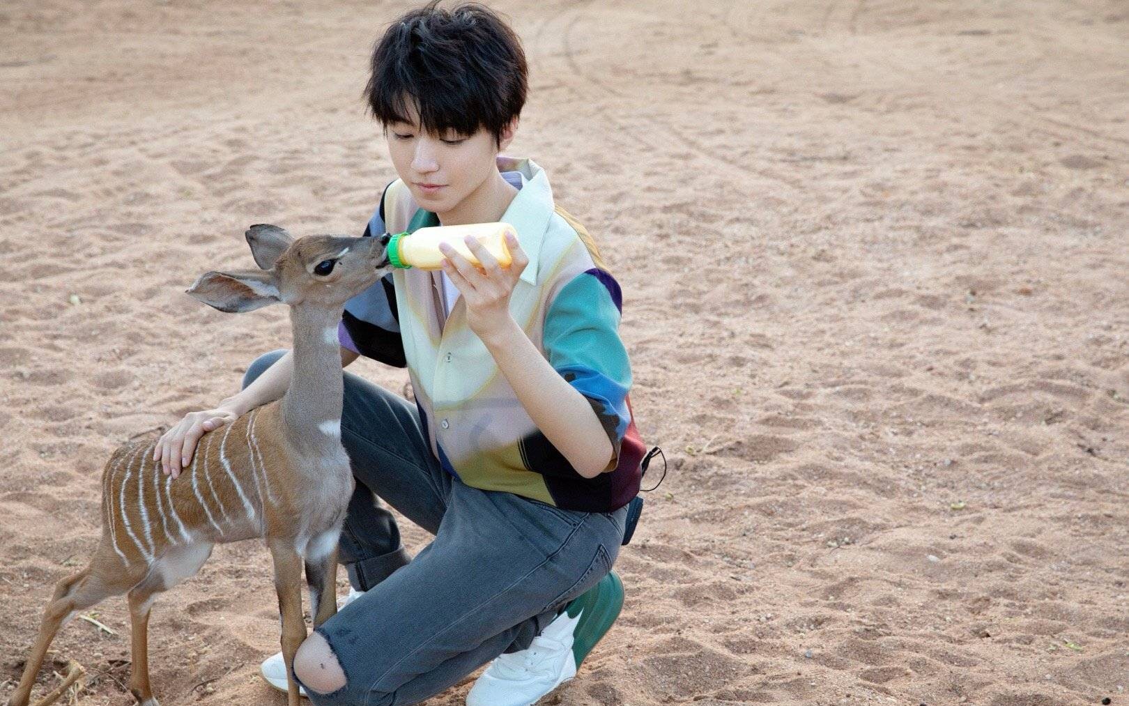 【王俊凯】湖南卫视跨年演唱会《醒着》reaction