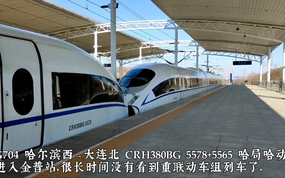 G704 哈尔滨西→大连北 CRH380BG 5578+5565 哈局哈动,进入金州站.很长时间没有看到重联动车组列车了哔哩哔哩bilibili