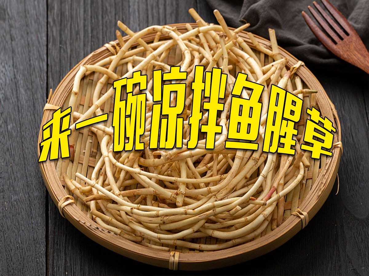 鱼腥草竟是天然抗生素?哔哩哔哩bilibili