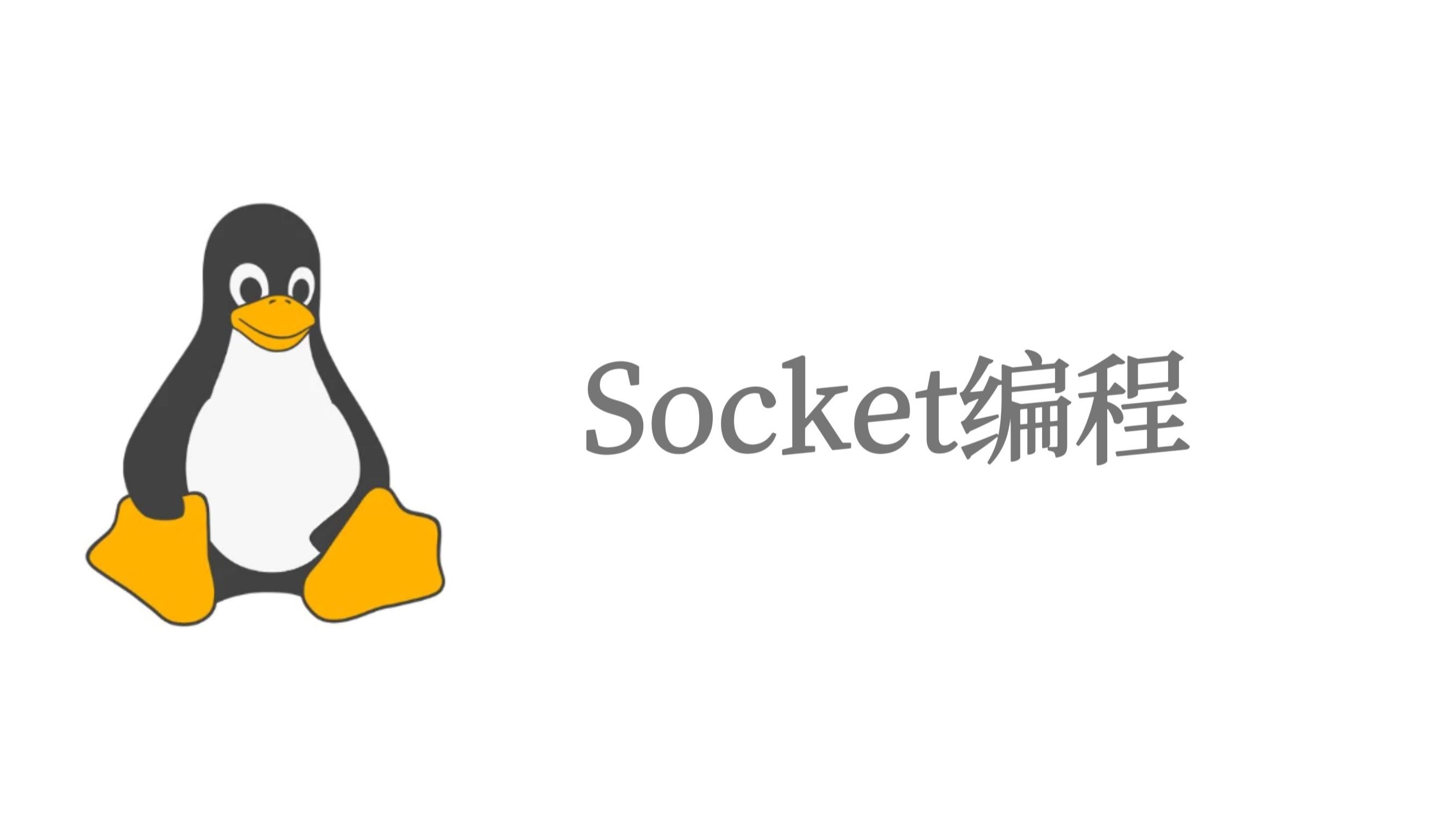 socket编程，socket编程有什么用
