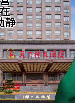 老板非要我给他公司搞点动静 #天下禅大酒店 #至信文旅