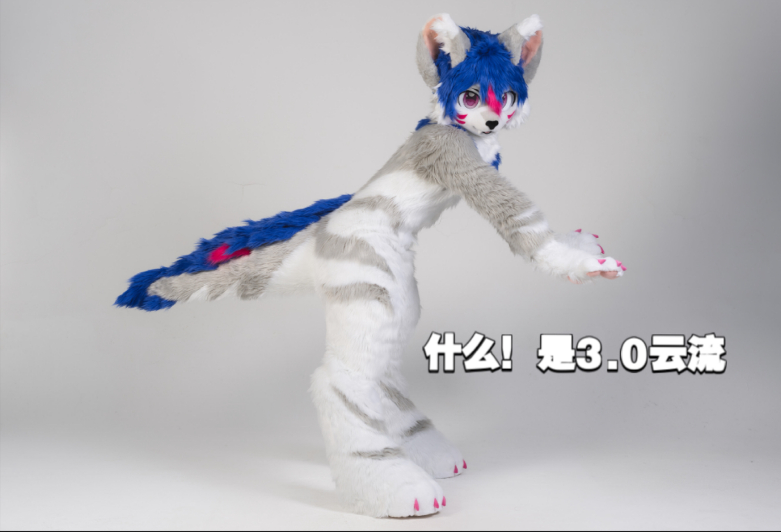 【fursuit】委托展示ⷤ𘀮Š款按委托人身材设计的小曲腿哔哩哔哩bilibili