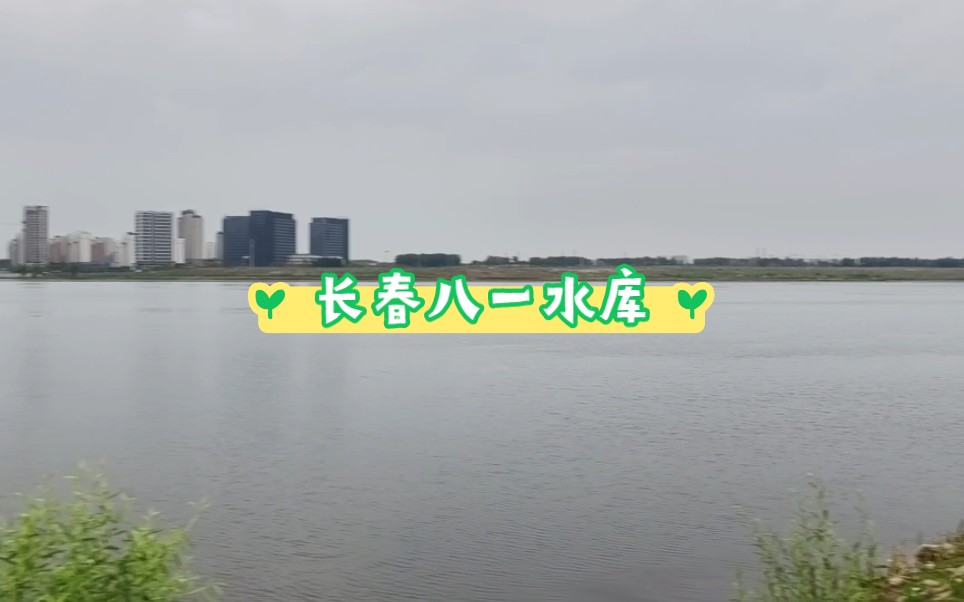 长春市八一水库