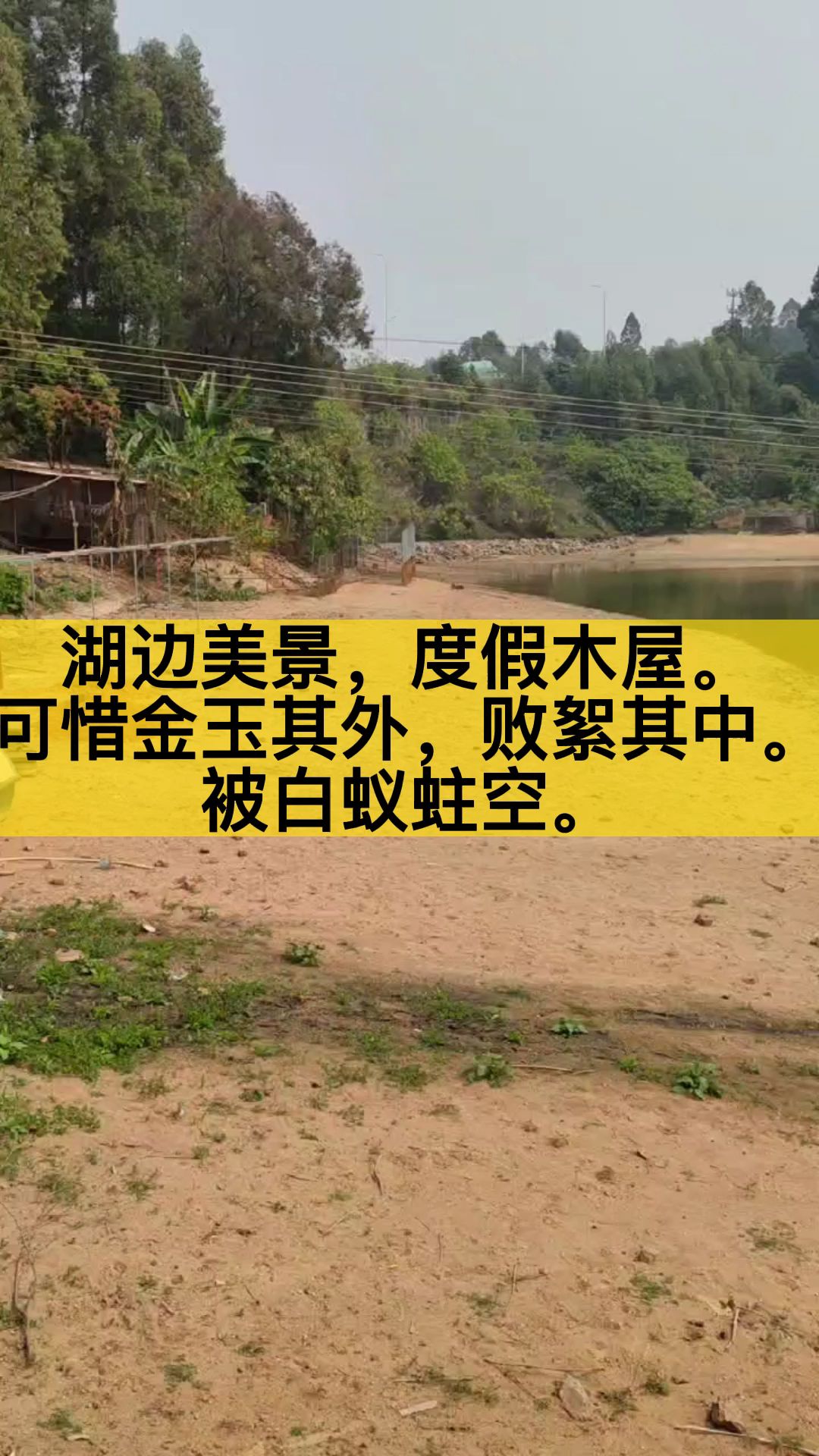 湖边私人度假屋白蚁防治,东莞除虫灭鼠白蚁防治中心上门灭白蚁.哔哩哔哩bilibili