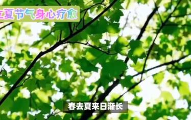 今日立夏,春去夏来,自然交响哔哩哔哩bilibili