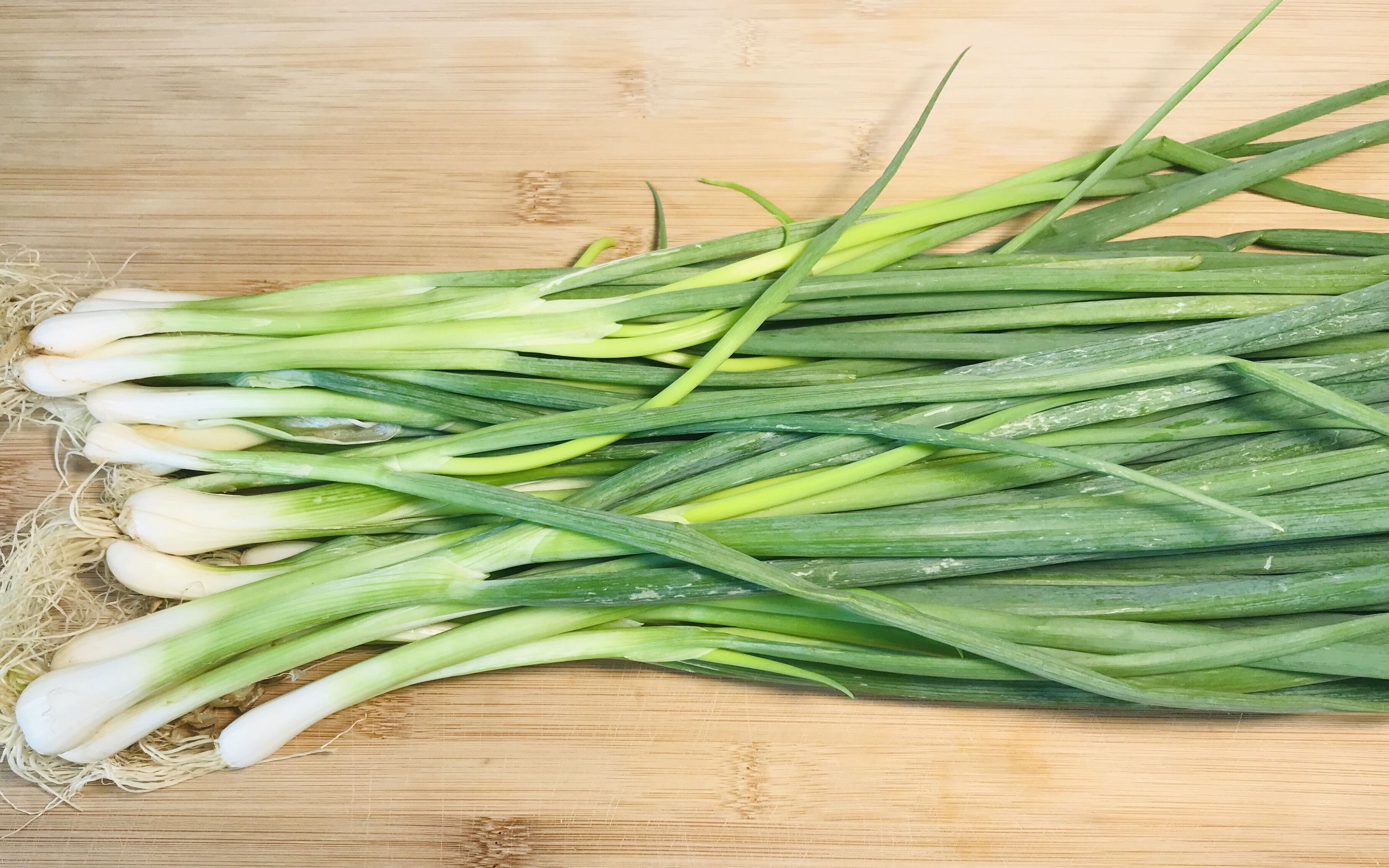 香葱这样保存可以保鲜半年,叶子不发黄不烂叶,教你一个简单技巧