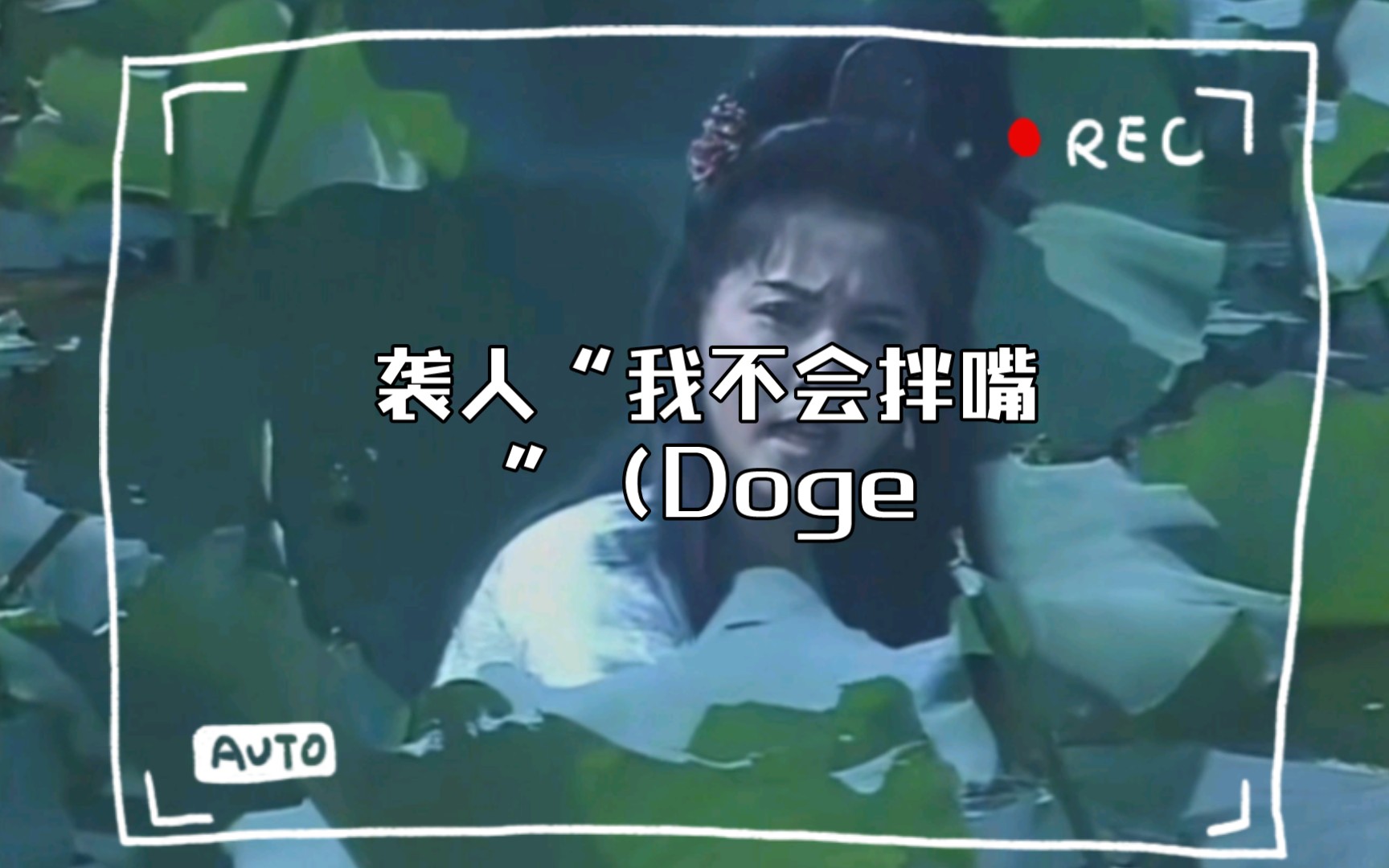 [图]袭人“我不会拌嘴”（Doge）（孙武）