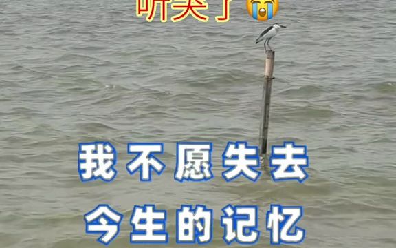 思念远方的你图片带字图片