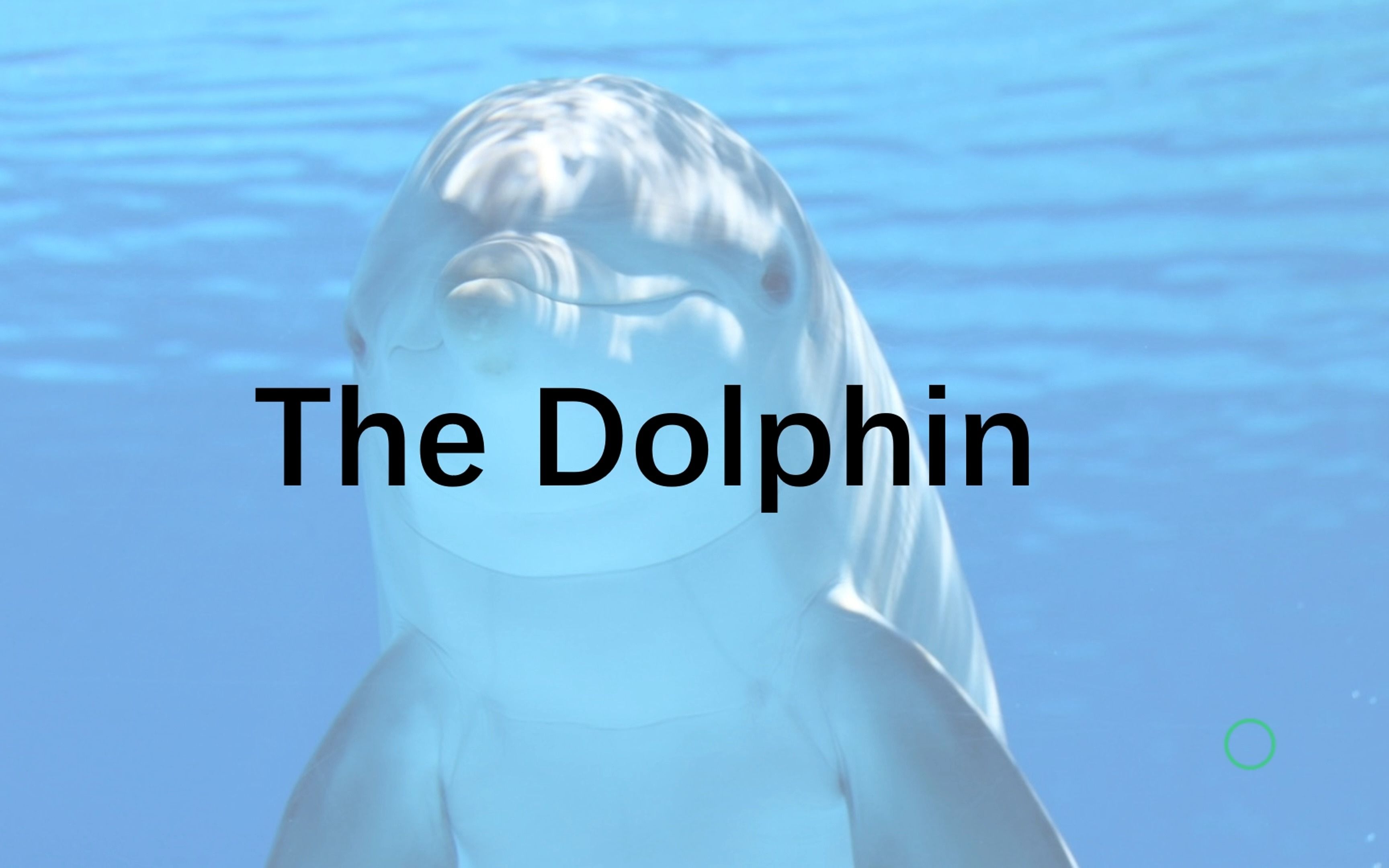 《中学生百科英语 1》U1L5 The dolphin哔哩哔哩bilibili