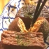 孤独的美食家: 静冈关东煮的主打菜品: 牛筋入口即化,真是下饭神器