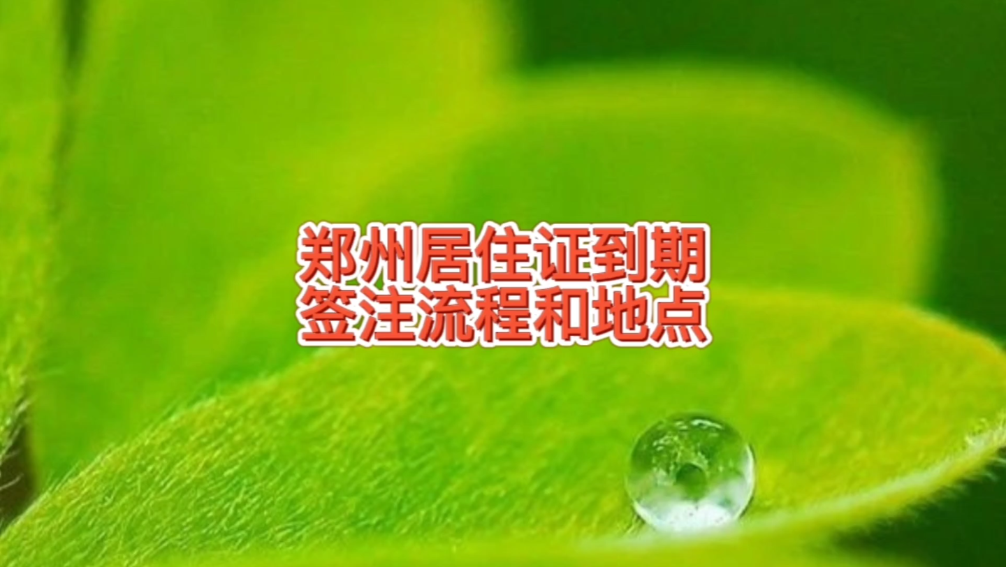 郑州居住证到期如何续期,签注流程,24小时签注机没法用怎么办,帮忙关注作者多评论,长按点赞收藏转发,只回复粉丝问题哔哩哔哩bilibili