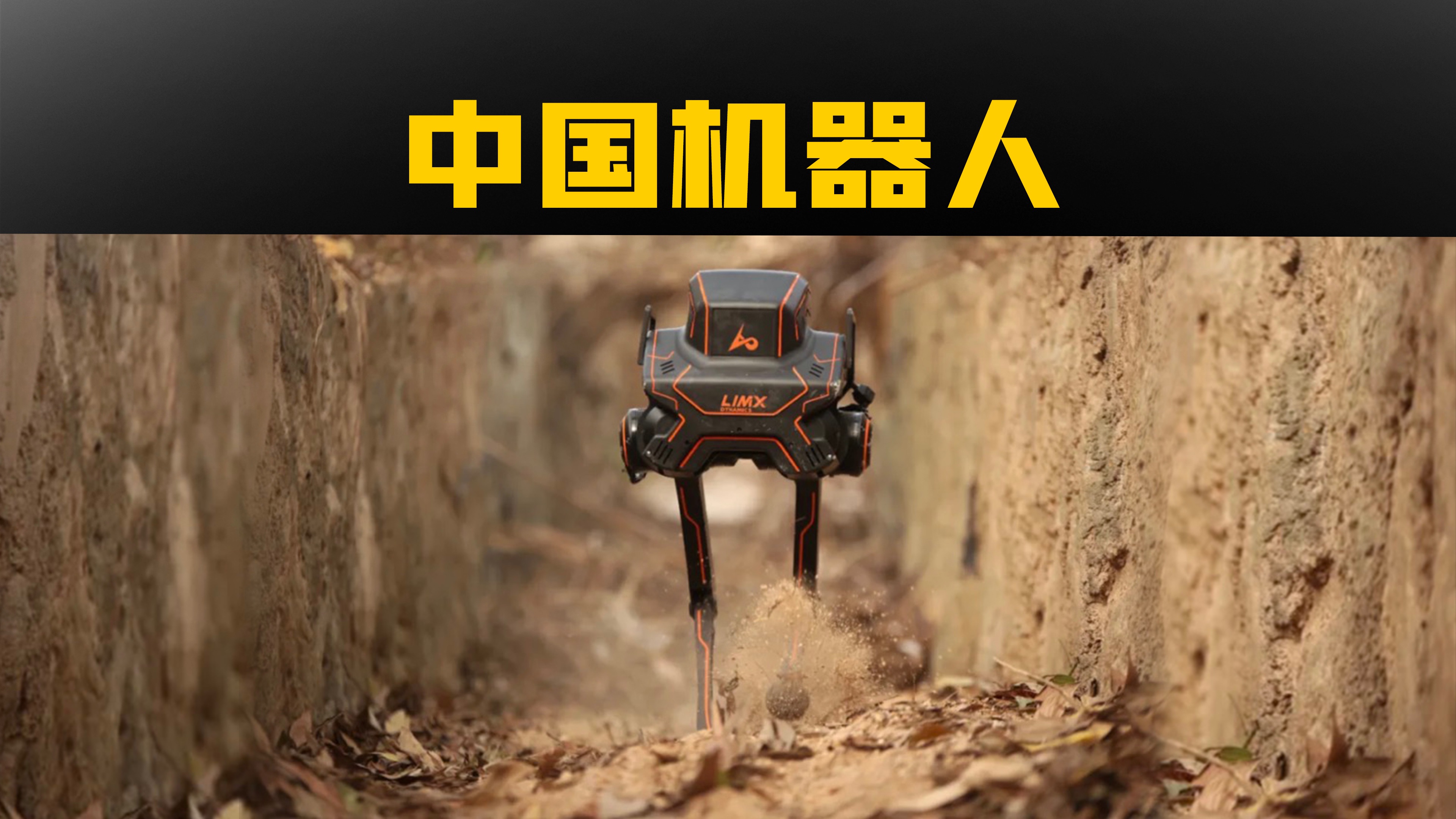 我们也有强大的ai机器人了!