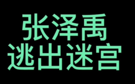 张泽禹“逃出迷宫”哔哩哔哩bilibili