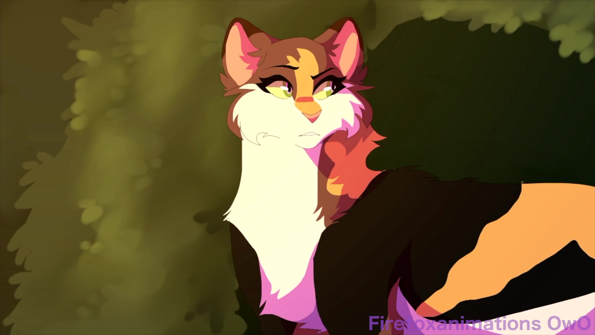 【猫武士】褐皮-piece by piece