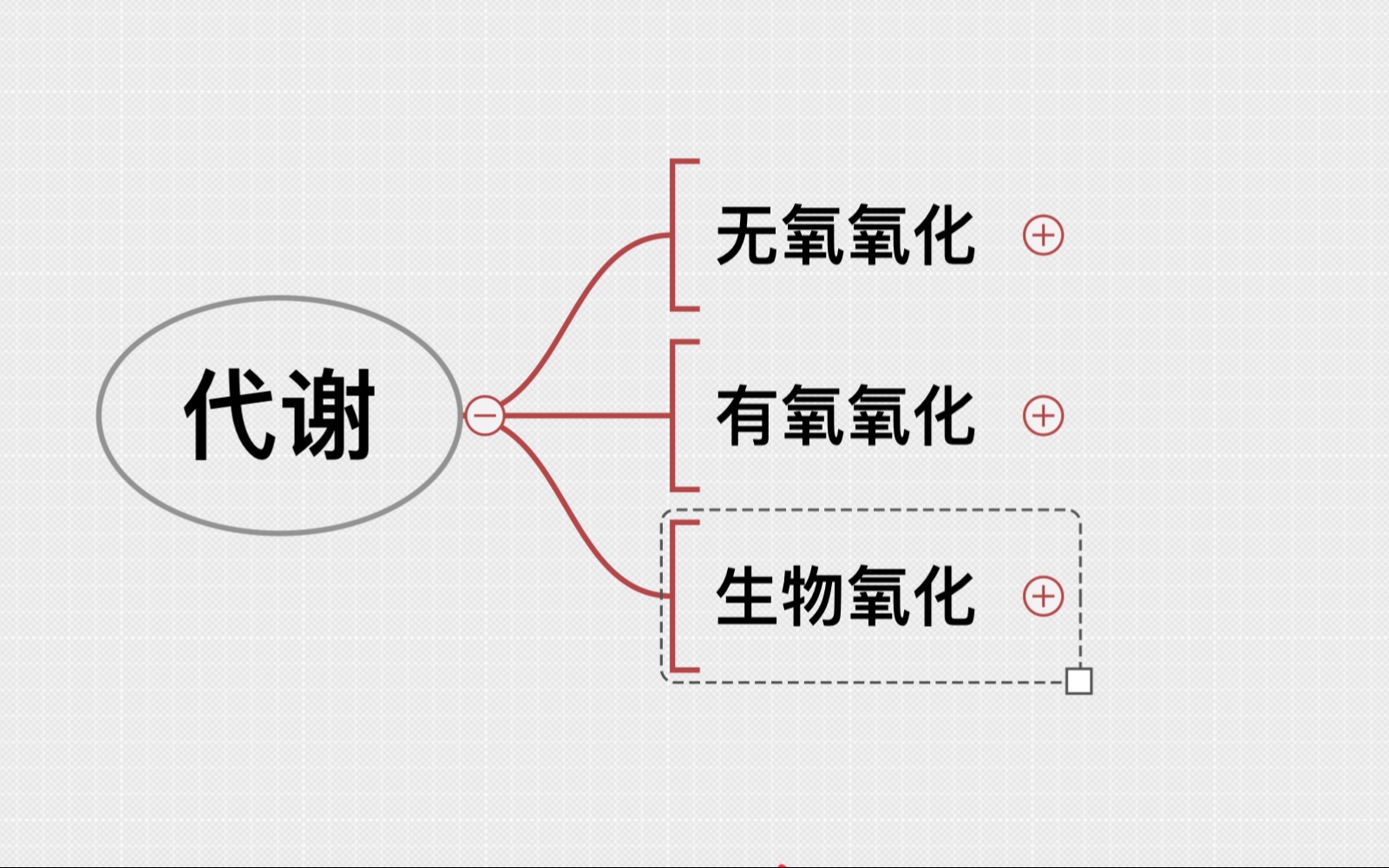 天天师兄生化氧化磷酸化思维导图复习