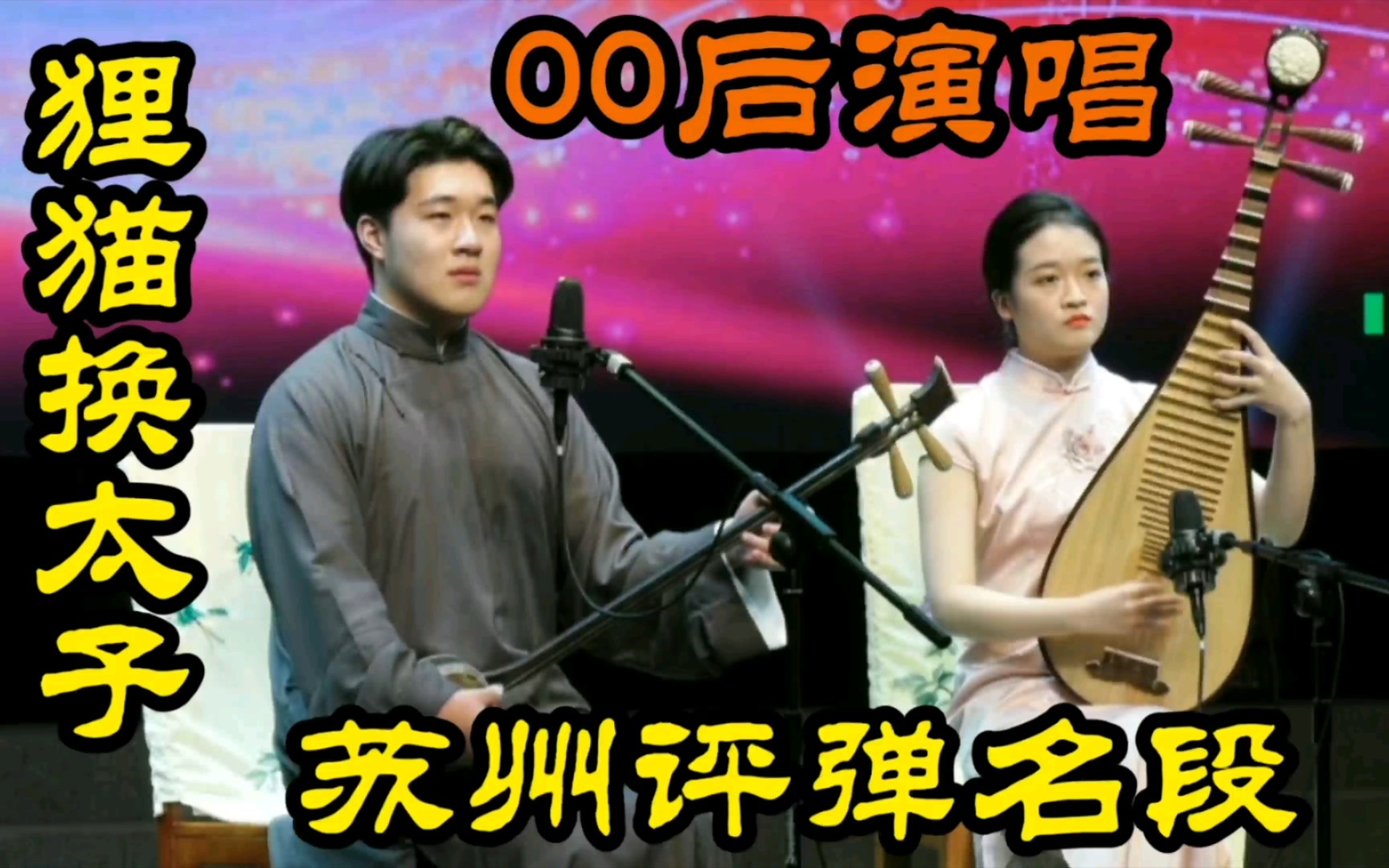 狸猫换太子到底讲的是什么?