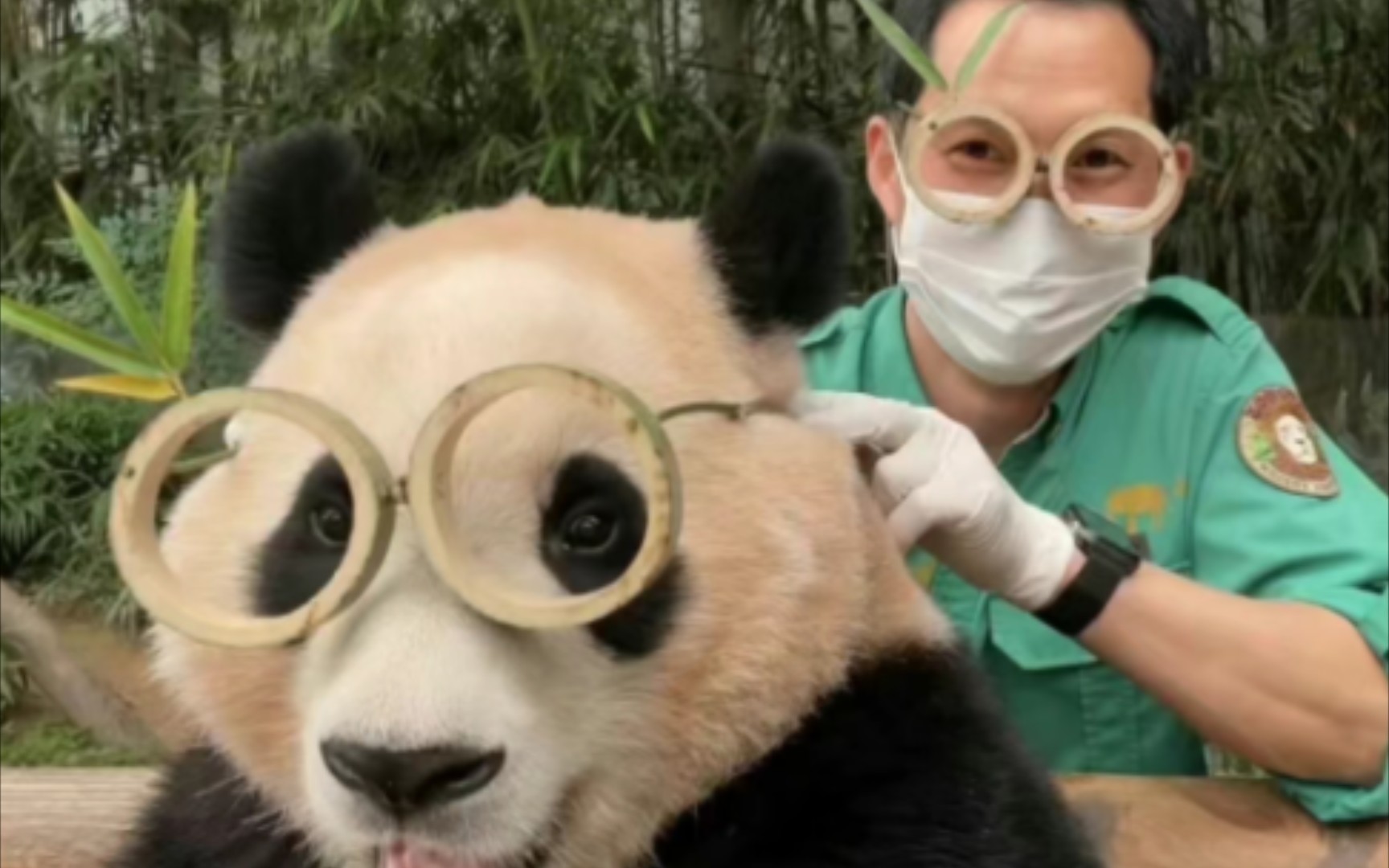 福宝和宋宝的美好时光